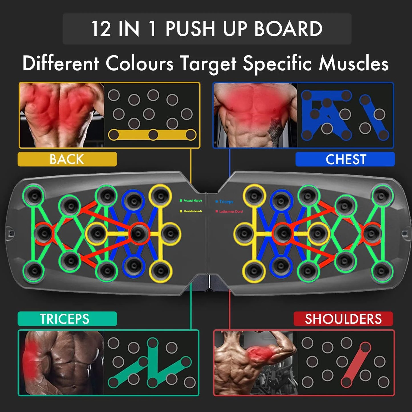 Multifunctional training board